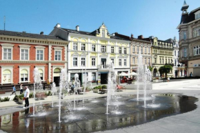 Great studios right in the city center, winouj cie